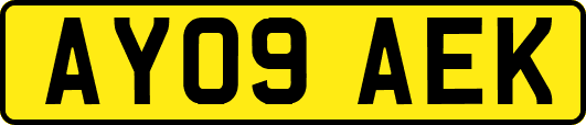 AY09AEK