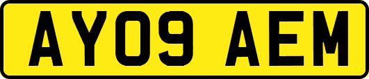 AY09AEM