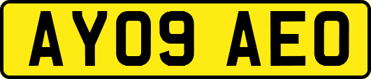 AY09AEO