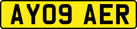 AY09AER