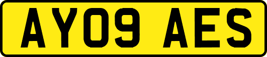 AY09AES
