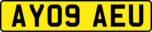 AY09AEU