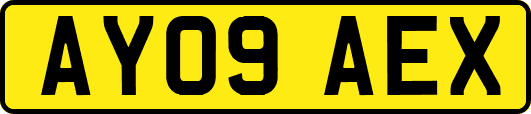 AY09AEX
