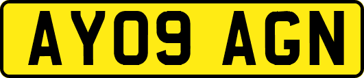 AY09AGN