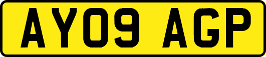 AY09AGP