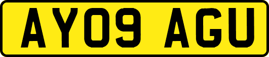 AY09AGU