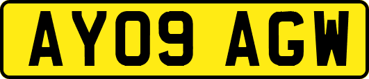 AY09AGW