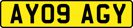 AY09AGY