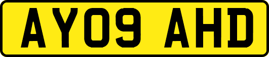 AY09AHD