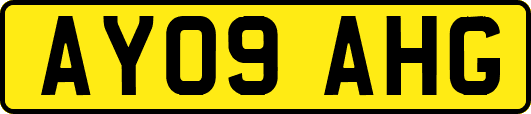 AY09AHG