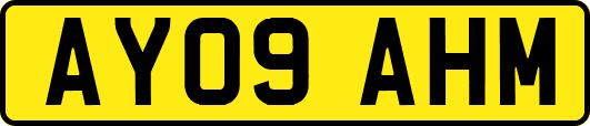AY09AHM