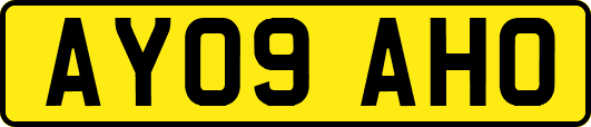AY09AHO