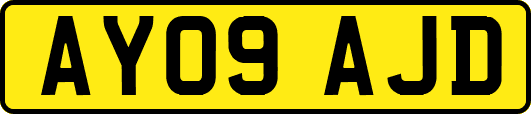 AY09AJD