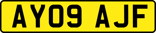 AY09AJF
