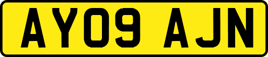 AY09AJN