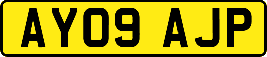 AY09AJP