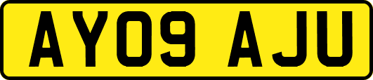 AY09AJU