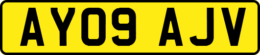 AY09AJV