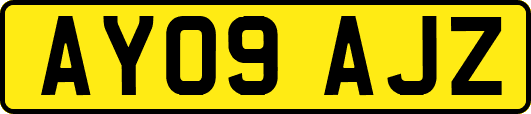 AY09AJZ