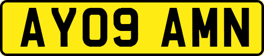 AY09AMN