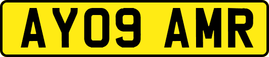 AY09AMR