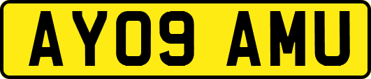 AY09AMU