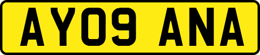 AY09ANA