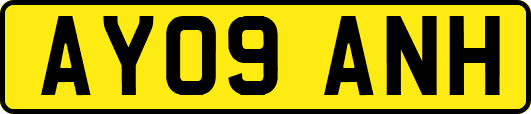 AY09ANH