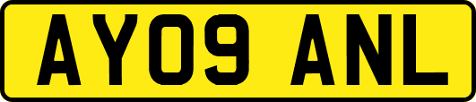 AY09ANL