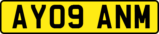 AY09ANM