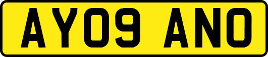 AY09ANO