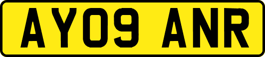 AY09ANR