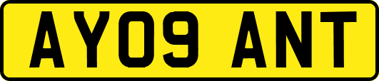 AY09ANT