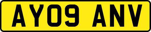 AY09ANV
