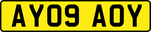 AY09AOY