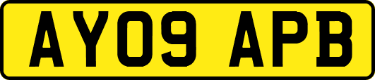 AY09APB