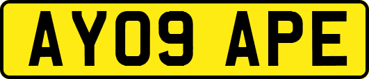 AY09APE