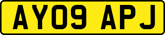 AY09APJ