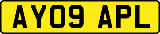 AY09APL