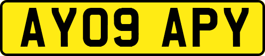 AY09APY
