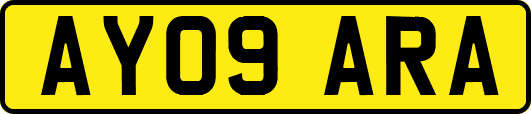 AY09ARA