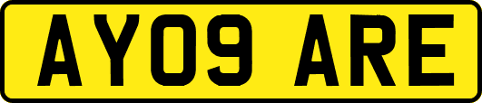 AY09ARE