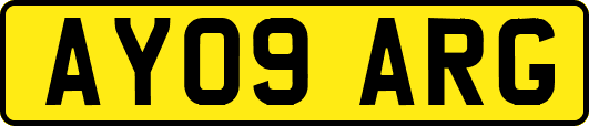 AY09ARG