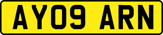 AY09ARN