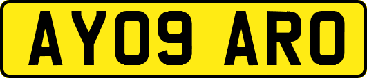 AY09ARO