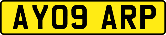AY09ARP