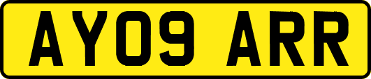 AY09ARR