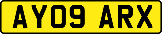 AY09ARX