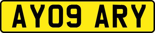 AY09ARY