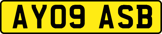 AY09ASB